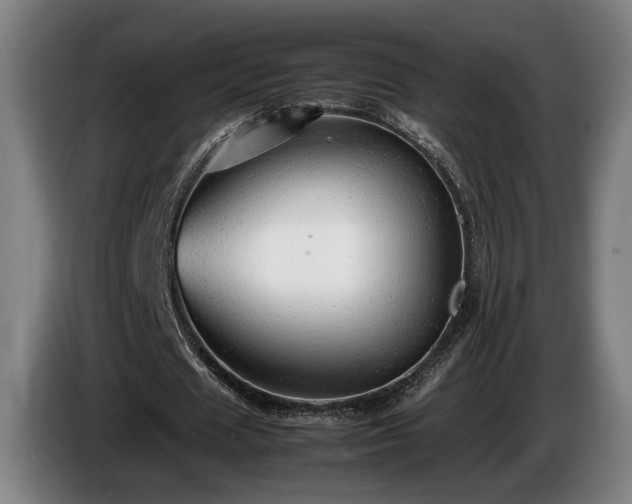 X0000086080625200703301129