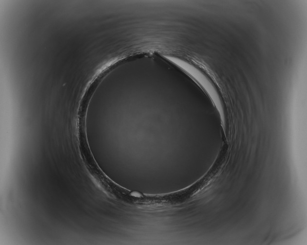 X0000086080626200703301129