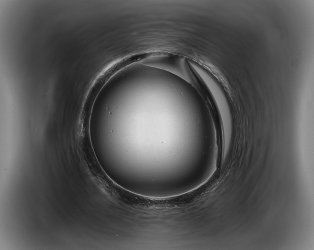 X0000086080628200703301129