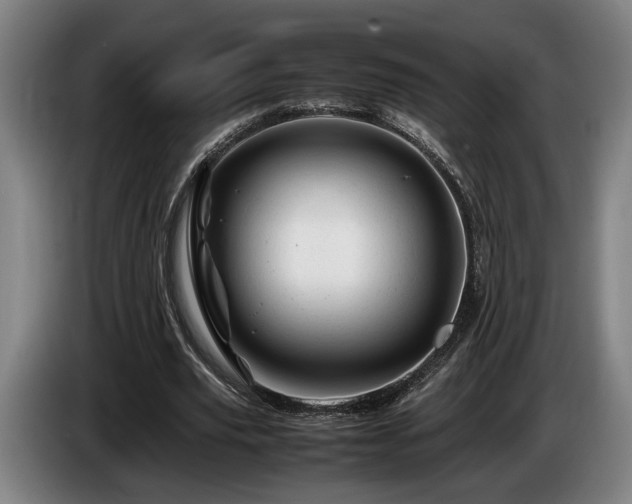 X0000086080629200703301129