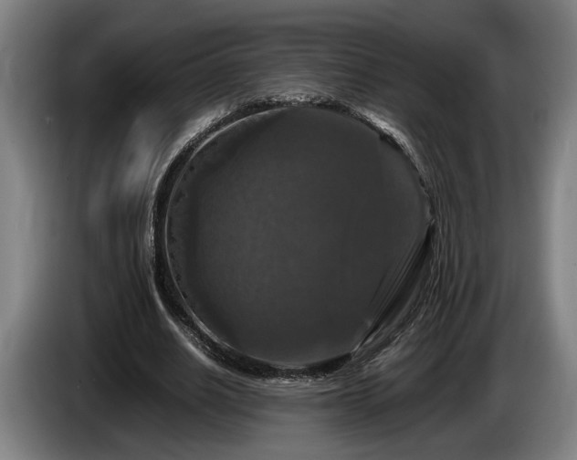 X0000086080630200703301129