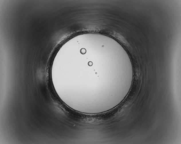 X0000086080632200703301129