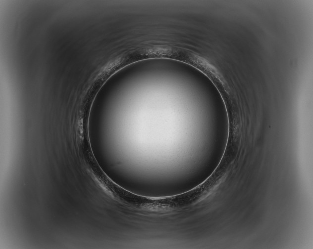 X0000086080633200703301129