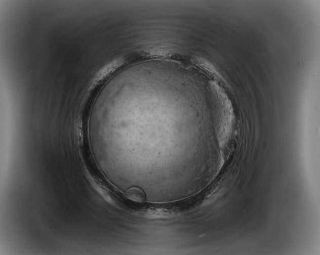 X0000086080634200703301129