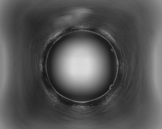 X0000086080635200703301129