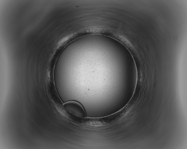 X0000086080636200703301129