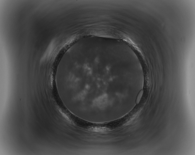 X0000086080637200703301129