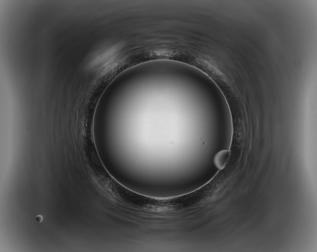 X0000086080639200703301129