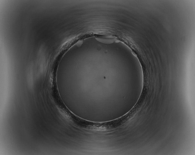 X0000086080640200703301129