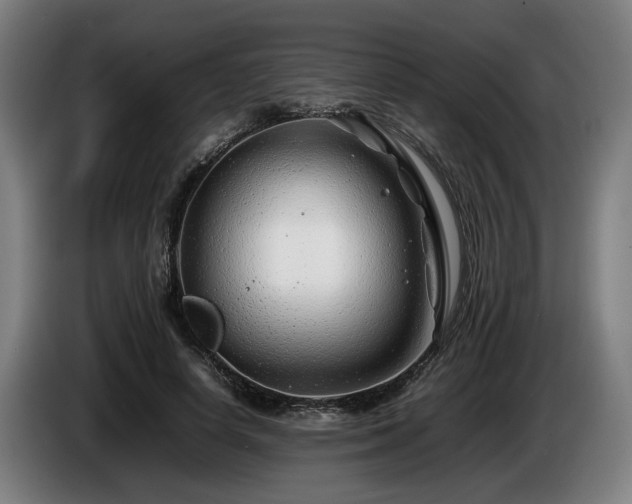 X0000086080642200703301129