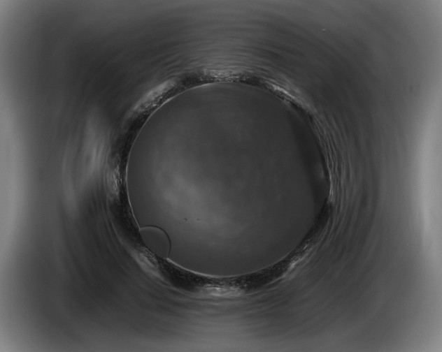 X0000086080644200703301129