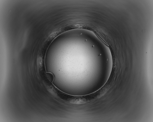 X0000086080646200703301129