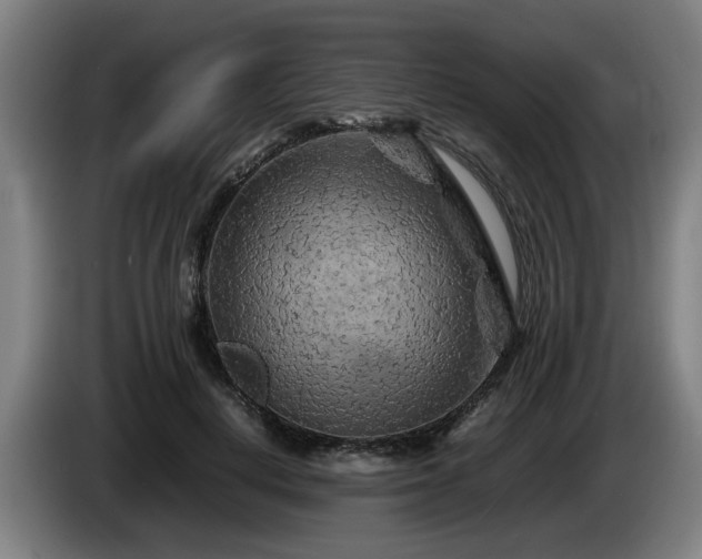 X0000086080648200703301130