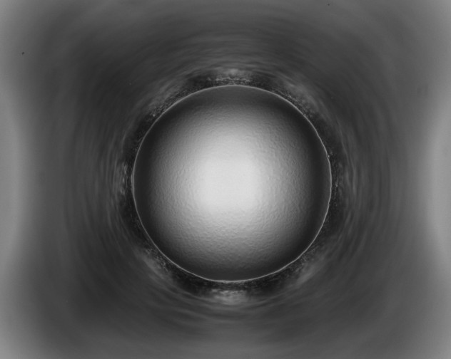 X0000086080649200703301130