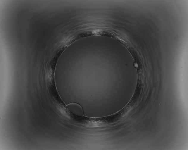 X0000086080650200703301130