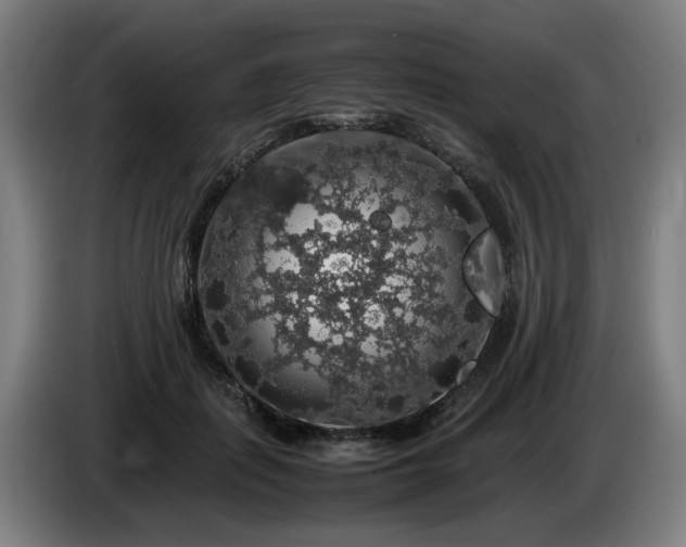 X0000086080651200703301130