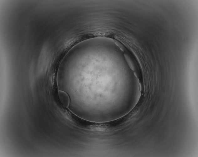 X0000086080652200703301130