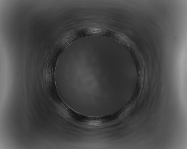 X0000086080653200703301130