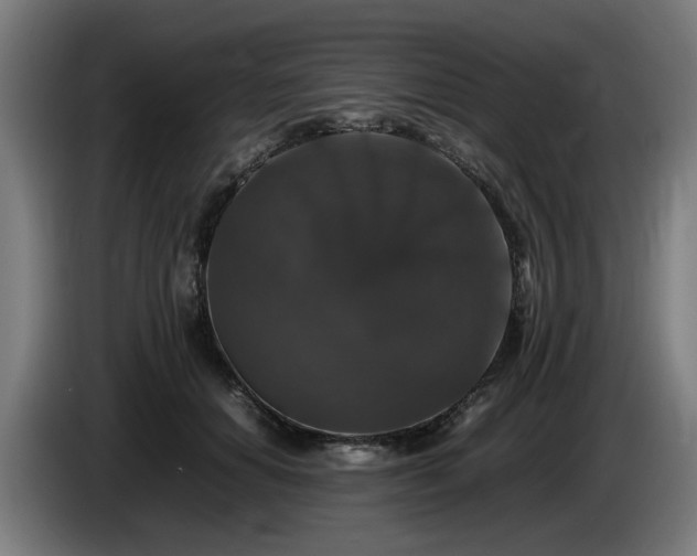 X0000086080654200703301130