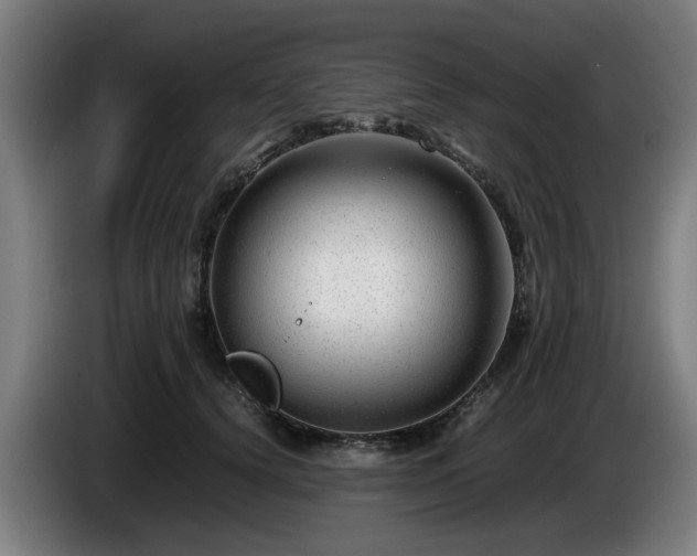 X0000086080656200703301130