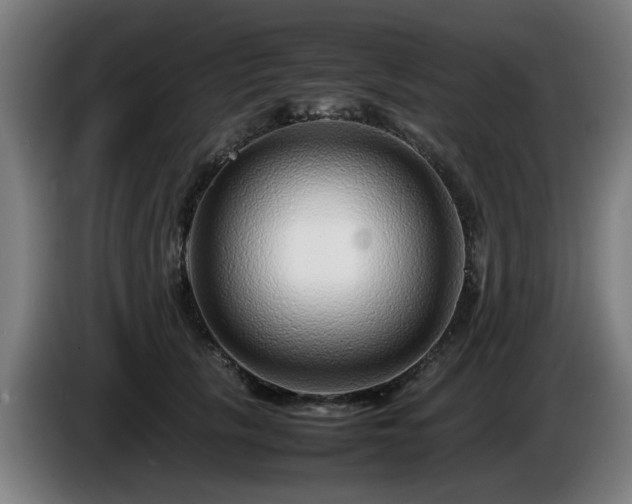 X0000086080657200703301130