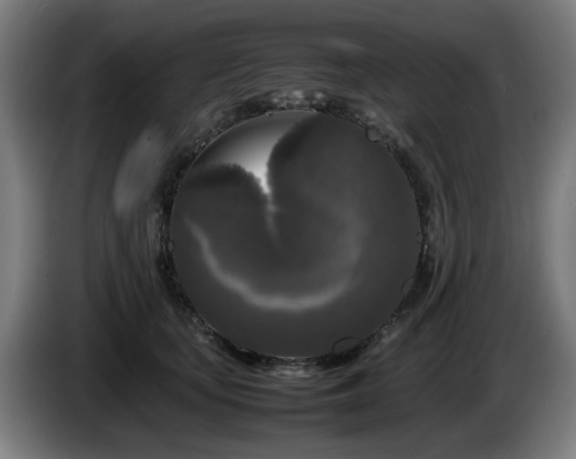 X0000086080659200703301130