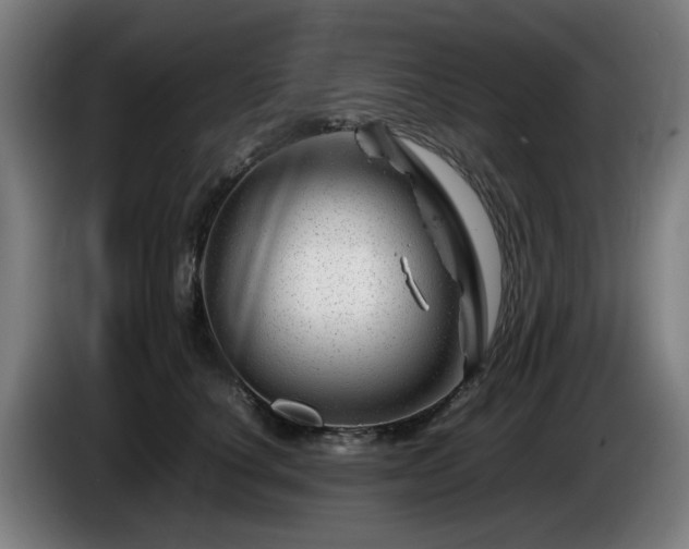 X0000086080660200703301130