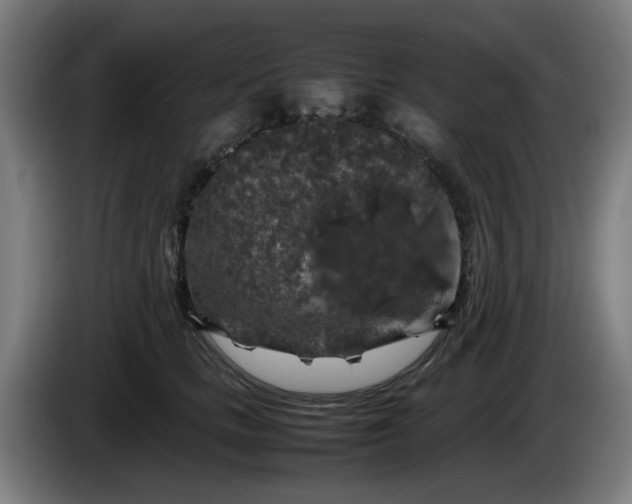 X0000086080661200703301130