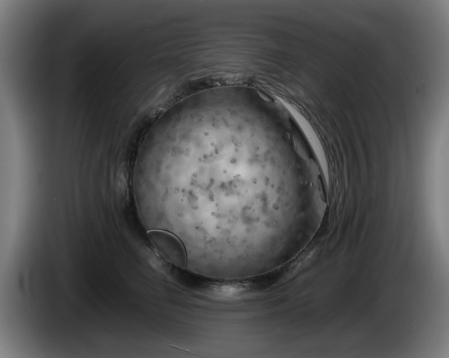 X0000086080662200703301130