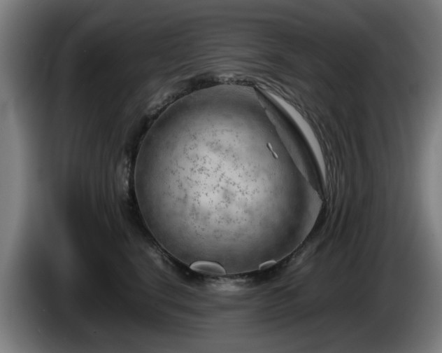 X0000086080664200703301130