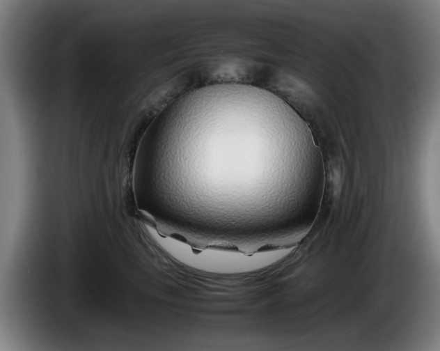 X0000086080665200703301130