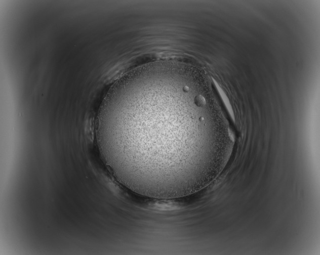 X0000086080666200703301130