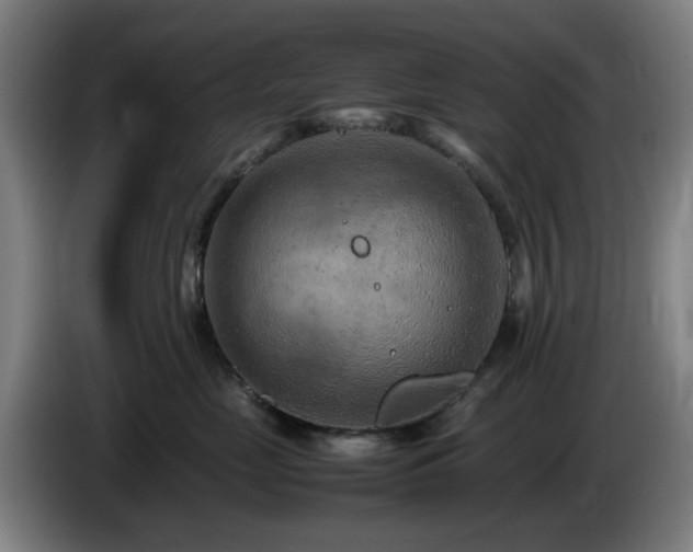 X0000086080669200703301130