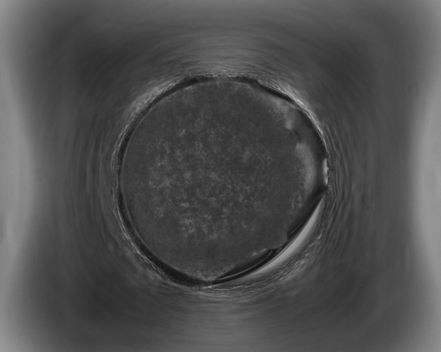 X0000086080673200703301129