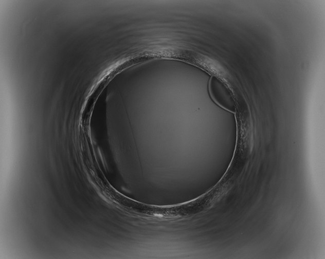 X0000086080674200703301129