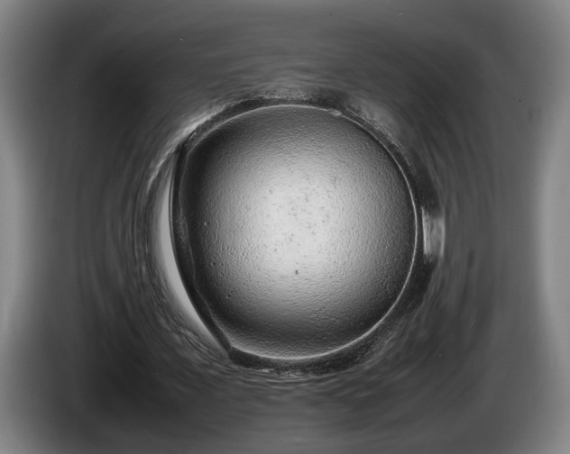 X0000086080675200703301129