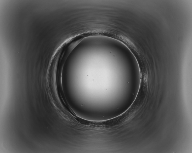 X0000086080676200703301129