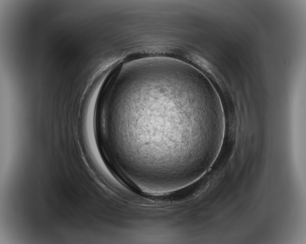 X0000086080677200703301129