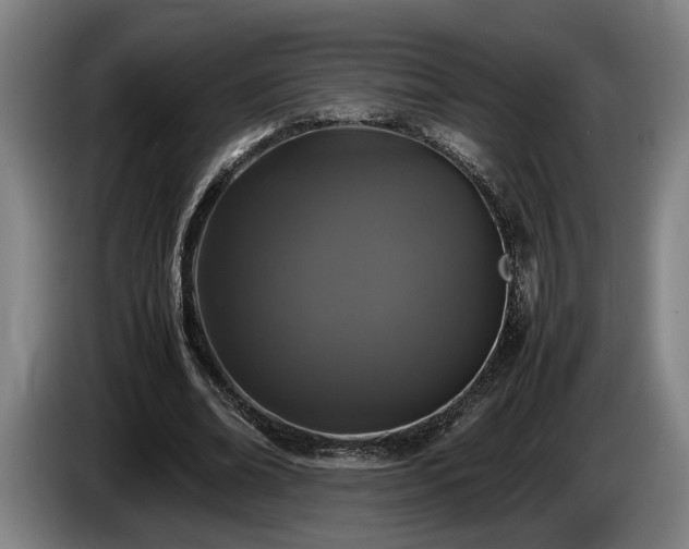 X0000086080678200703301129