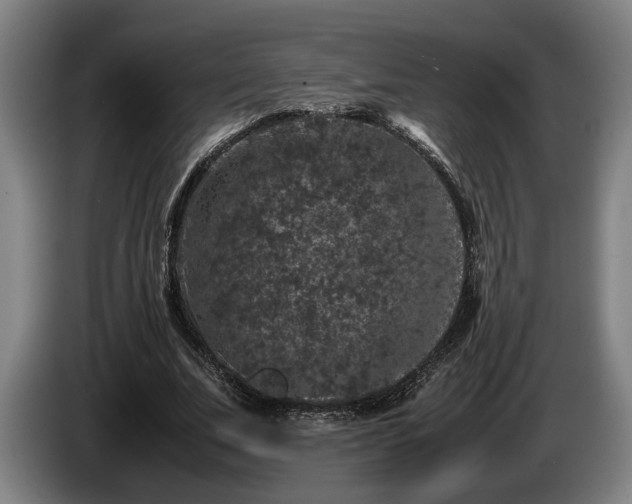 X0000086080679200703301129