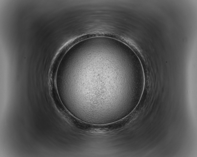 X0000086080680200703301129