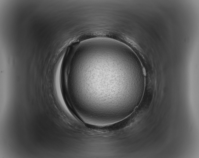 X0000086080681200703301129