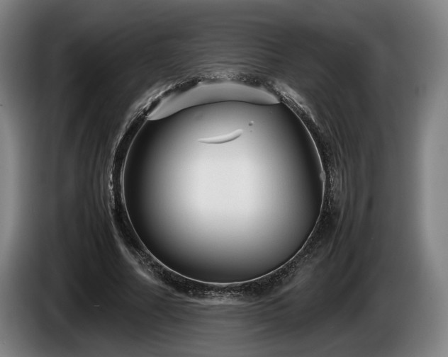 X0000086080682200703301129