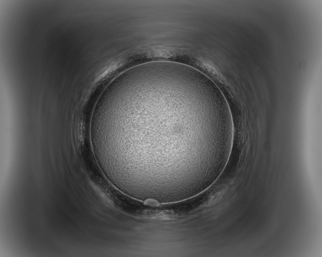 X0000086080683200703301129