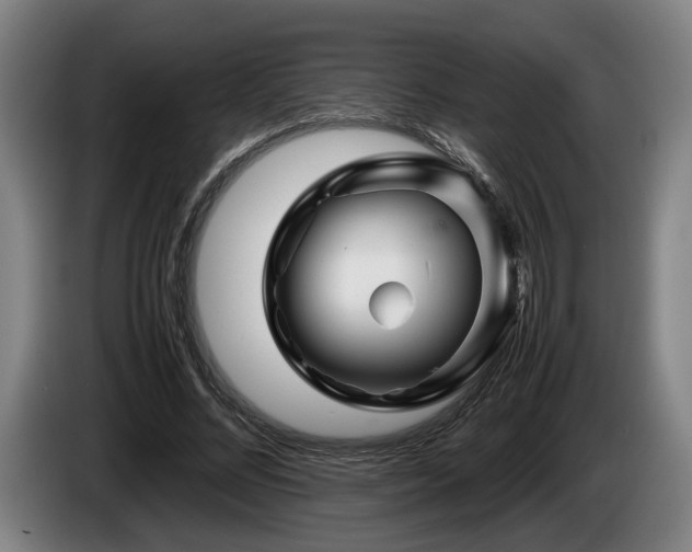 X0000086080684200703301129