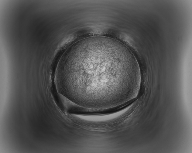 X0000086080685200703301129