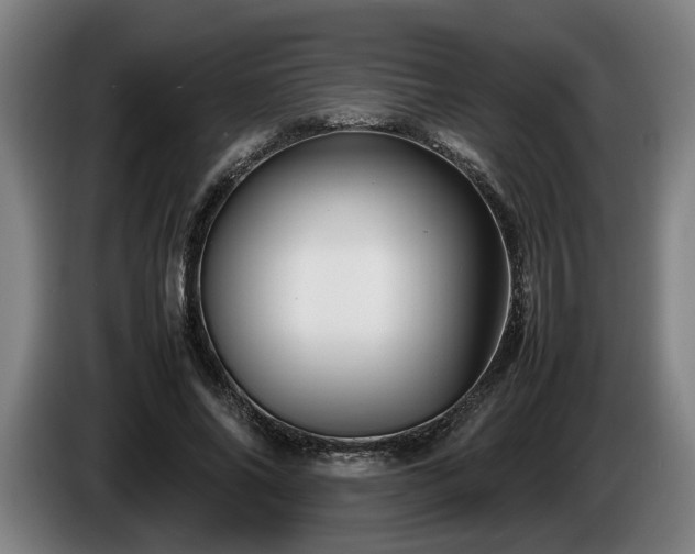 X0000086080686200703301129