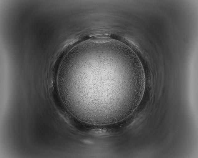 X0000086080687200703301129