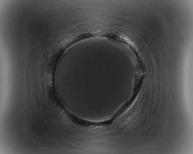 X0000086080689200703301129