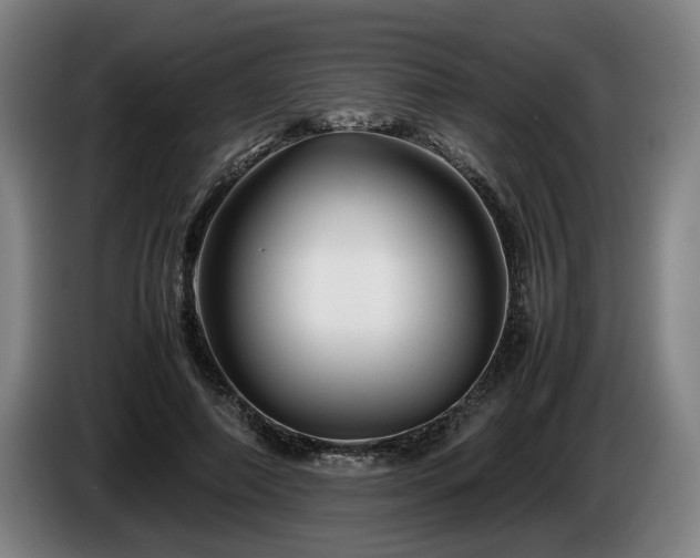 X0000086080690200703301129